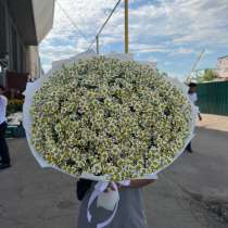 Ромашка, в Москве