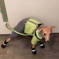 Комбинезон для собак мелких пород, в г.Луганск