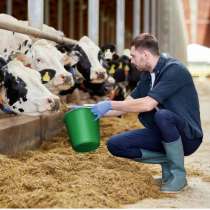 Разнорабочие на молочную ферму, в Смоленске