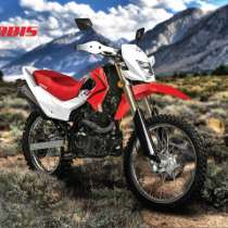 Официальный дилер IRBIS в Ульяновске, в Ульяновске