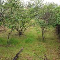 Продам землю, в г.Ташкент