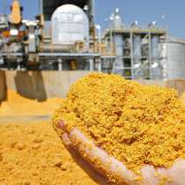 Кукурузная барда оптовые поставки, в Санкт-Петербурге