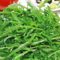 Руккола зелень, в Ногинске