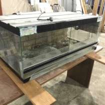 Террариум, в Обнинске