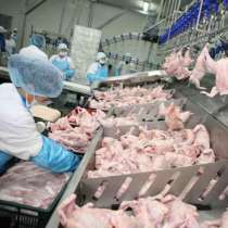 Muncitori în cadrul combinatelor de procesare a cărnii, в г.Кишинёв