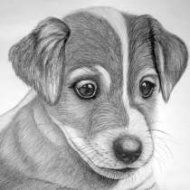 Рисование и ИЗО - уроки в Сургуте, в Сургуте