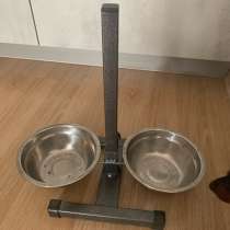 Животные, в Екатеринбурге