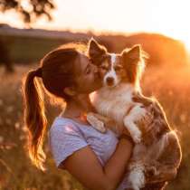 Выгул собак/Зооняня, в г.Тбилиси