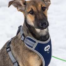 Малышке Грете нужен дом, в Москве