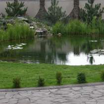 Строим пруды любой конфигурации и размеров от 5 ти дней, в Москве