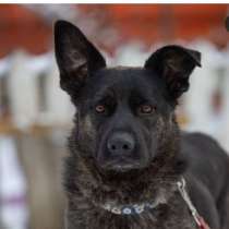 Ева ищет дом ?, в Балашихе