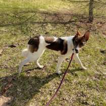 Саломея, в Москве