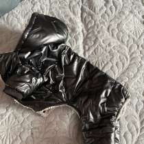 Одежда для собак, в Качканаре