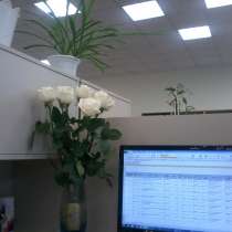 Набор текстов!, в Барнауле