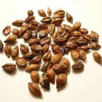 Продам ячменный кофе, в Челябинске