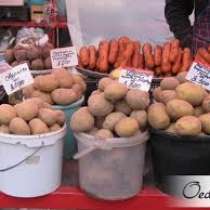 Оптовая поставка картофеля из Мордовии по России и СНГ, в Красноярске