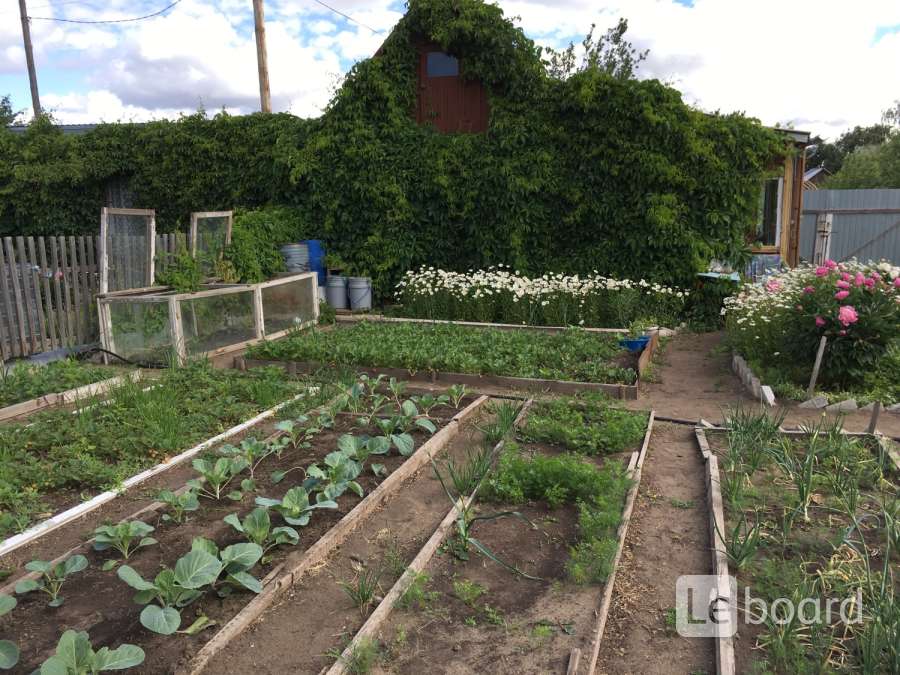 Костанай дача. Чапаево. Дача костанай. Дом в костанае. Дачи чапаево чебоксары.