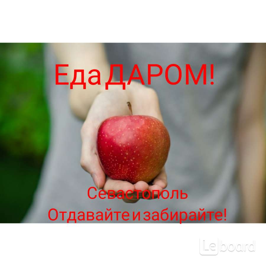 Отдай еду