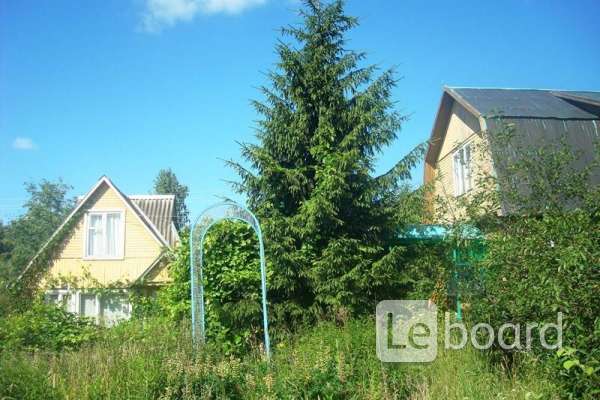 Снт луч улица 0 дом 9. Снт луч председатель. Снт луч московская область. Снт луч председатель. Снт луч.